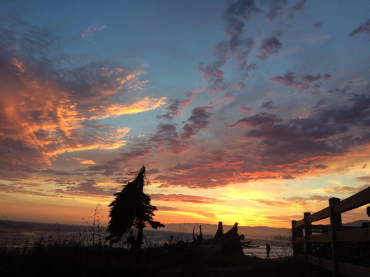 Coal Oil Point Reserve-戈利塔必去景点