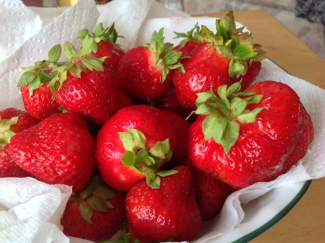 Johnston Fruit Farms-Swanton必去景点