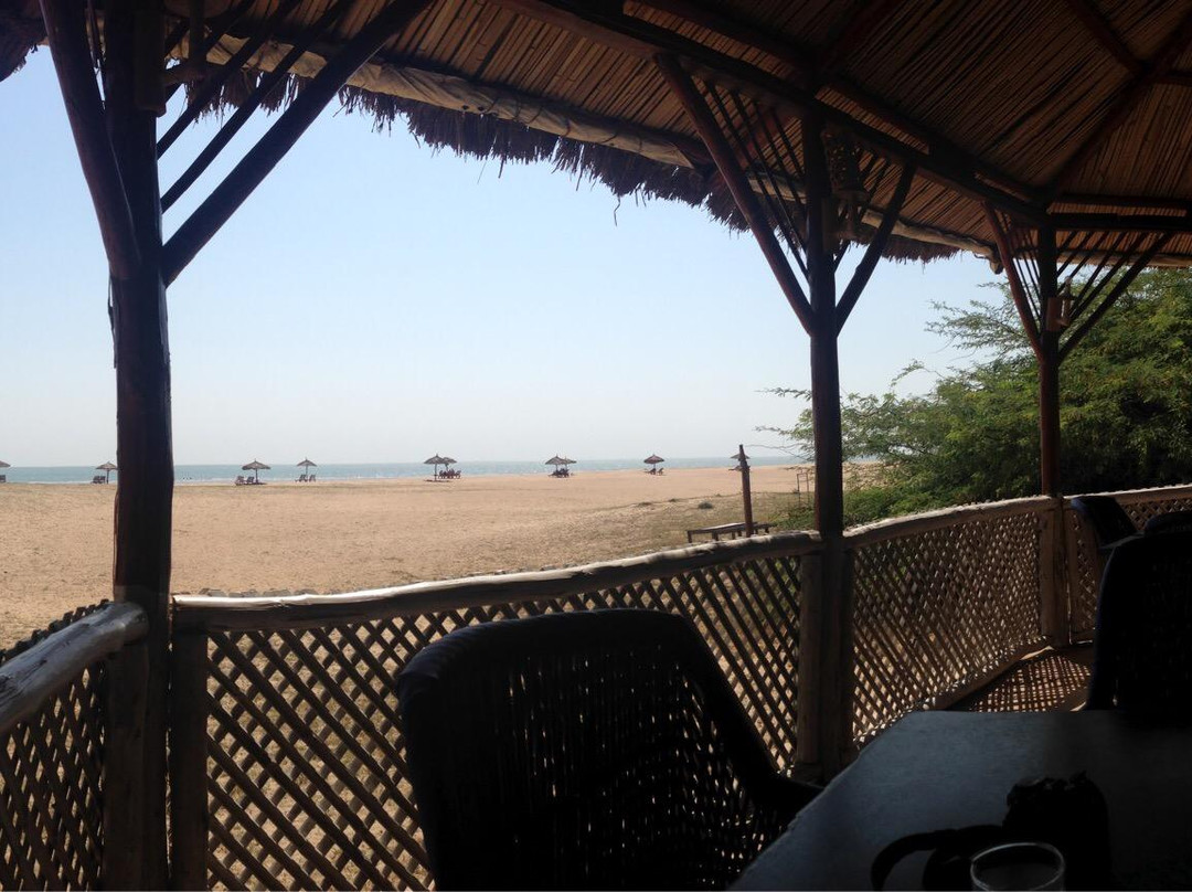 The Beach At Mandvi Palace景点图片