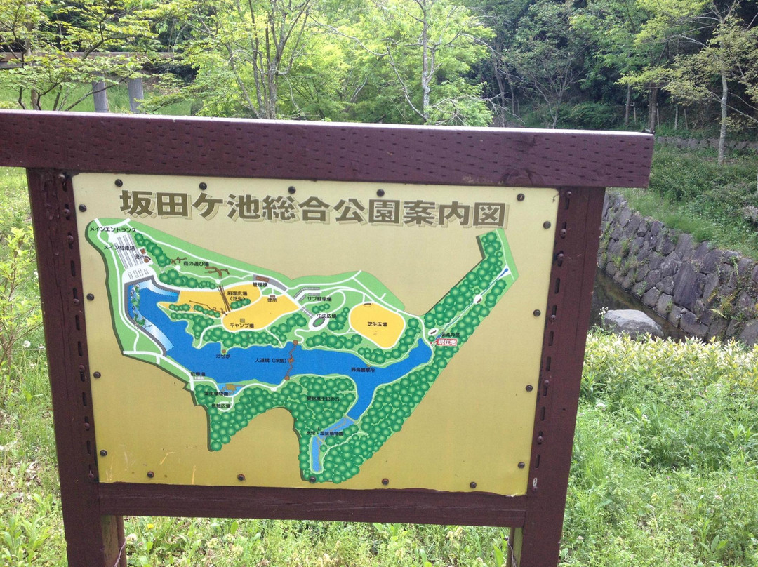 Sakatagaike Comprehensive Park-成田市必去景点