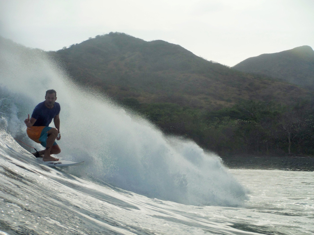 Single Fin Surf Charters-Playas del Coco必去景点