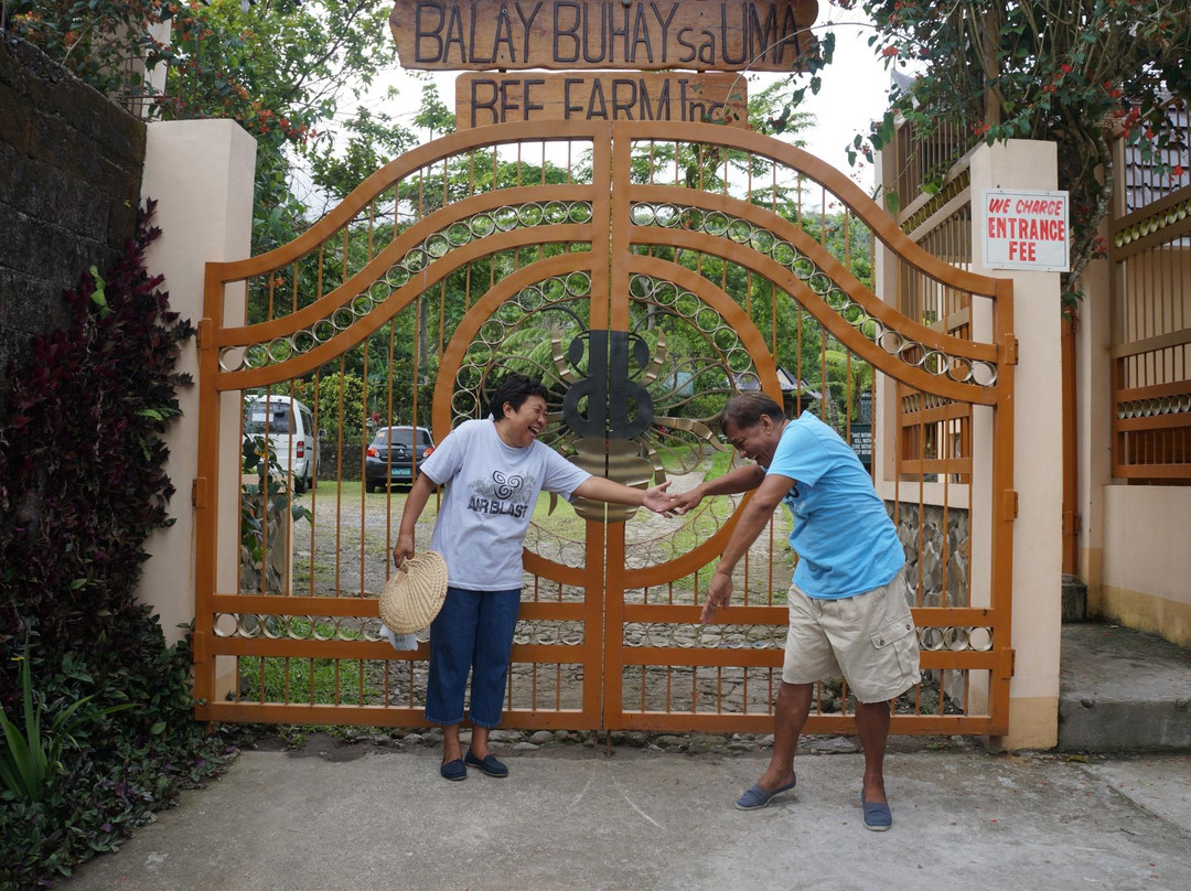 Balay Buhay Sa Uma Bee Farm景点图片