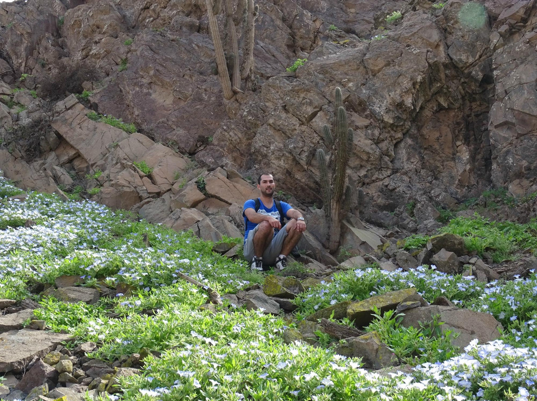 Quebrada de la Chimba Reserva Nacional-安托法加斯塔必去景点
