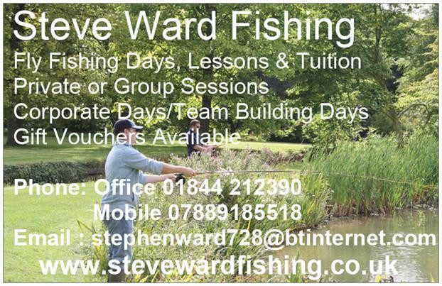 Steve Ward Fishing景点图片