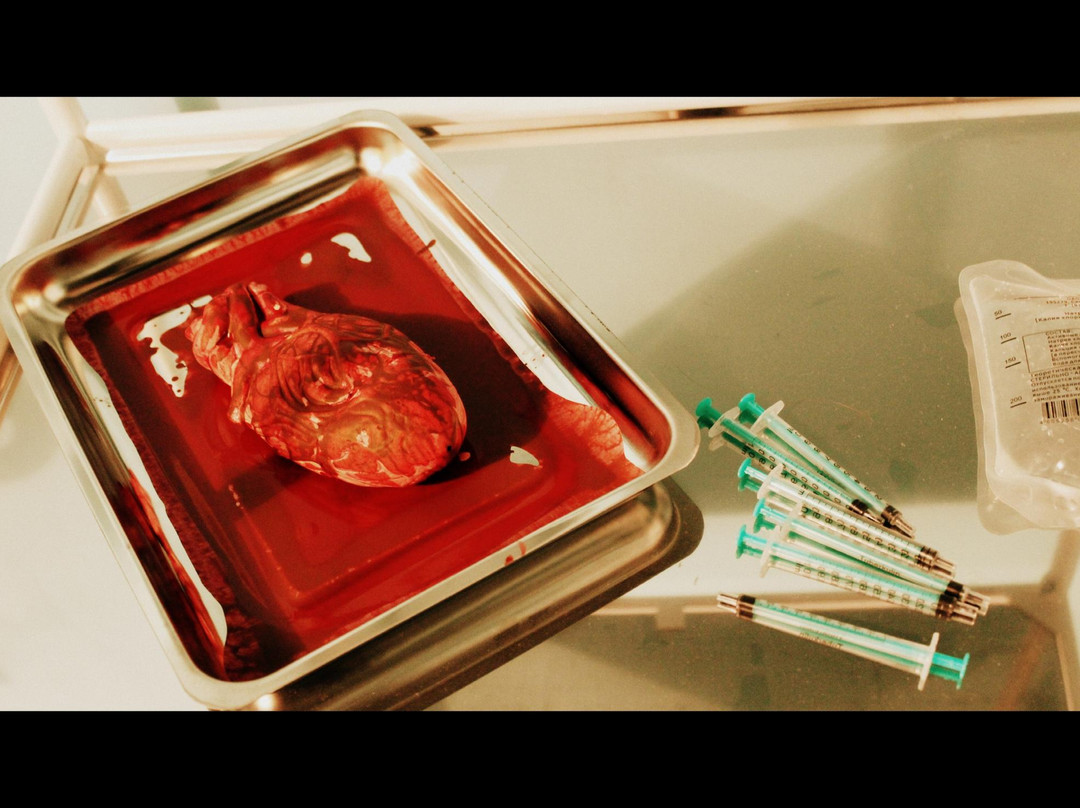 Quest-Kompot-莫斯科必去景点