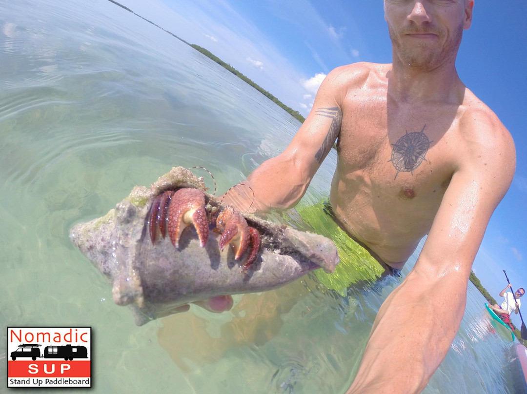 Nomadic SUP Paddleboard Eco Tours-基韦斯特必去景点