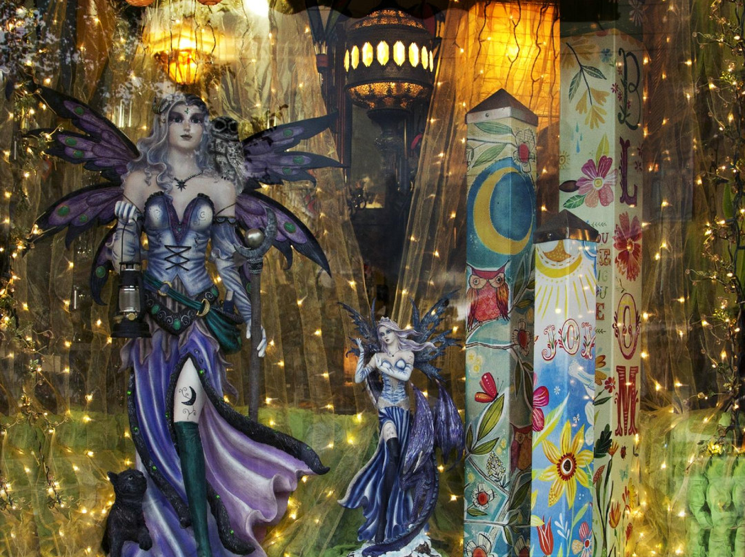 Midnight Owl-Chester必去景点