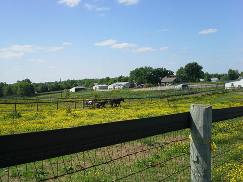 Sunburst Horsemanship School-列克星敦必去景点