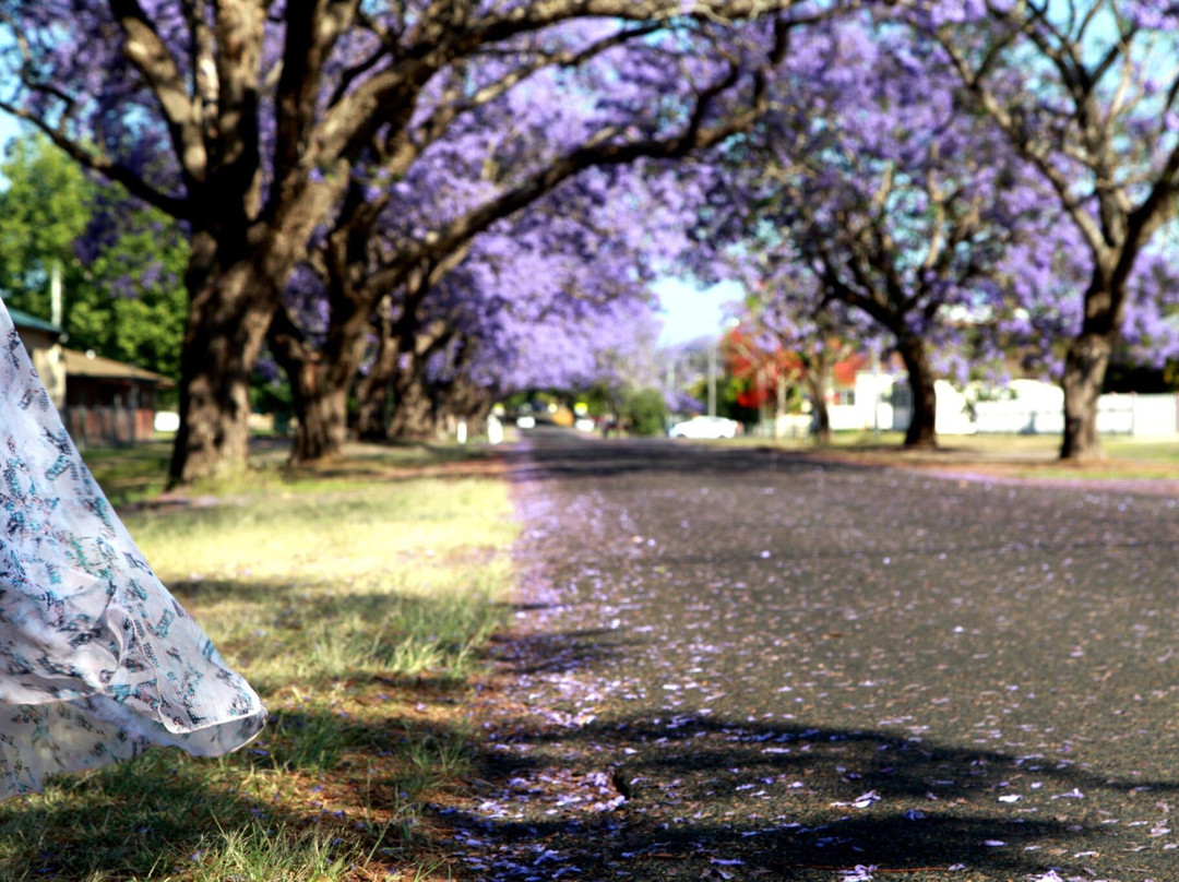 Christ Church Cathedral-Grafton必去景点