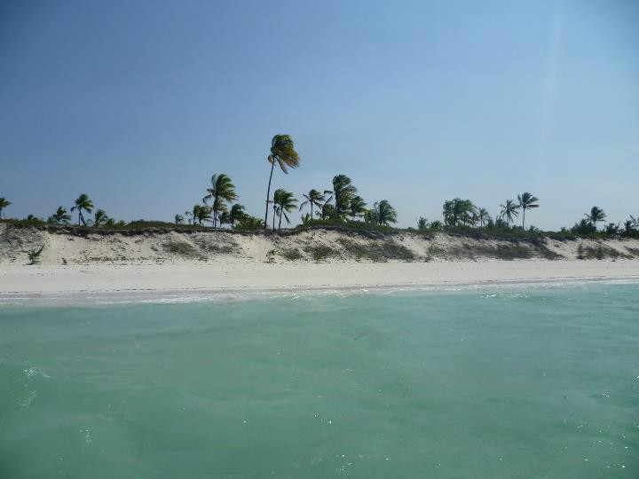 Carrusca Mar & Sol主图