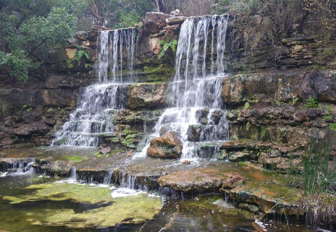 Zilker Botanical Garden-奥斯丁必去景点