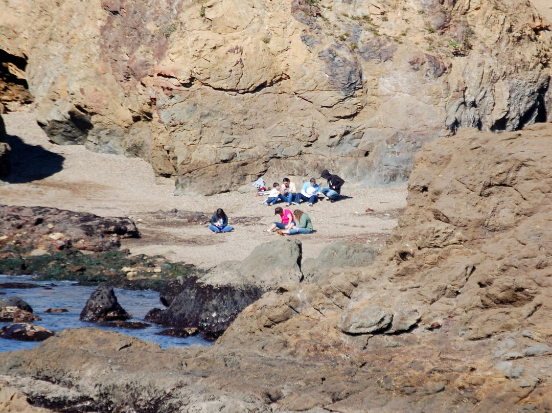 Noyo Headlands Park景点图片