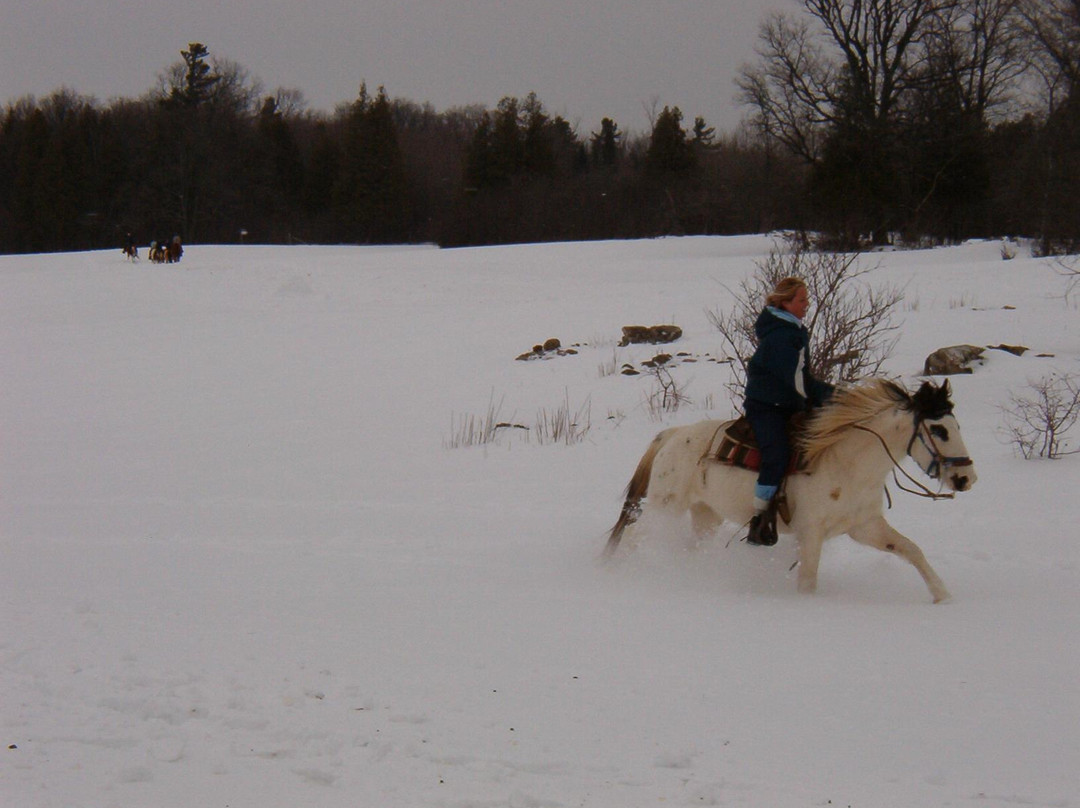Wildwood Manor Ranch-Georgetown必去景点