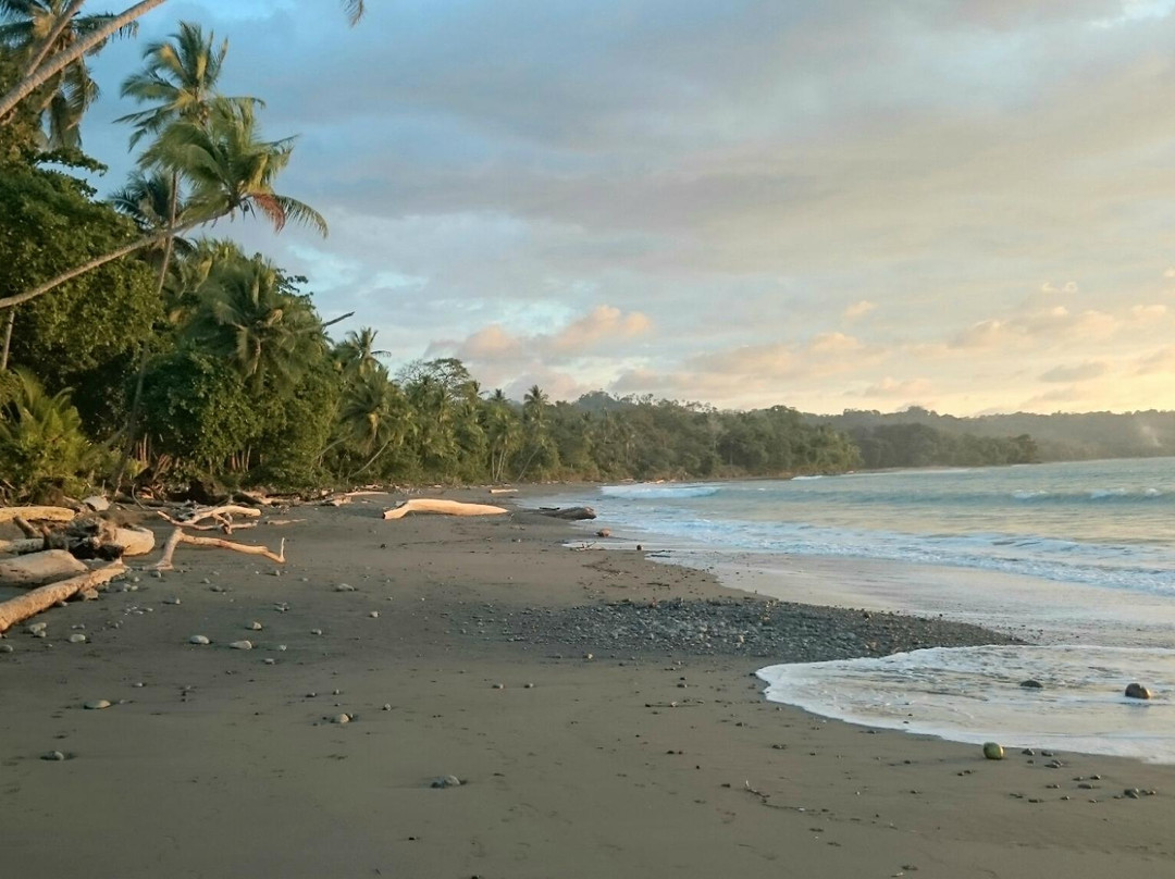 Agua Vida Surf Resort