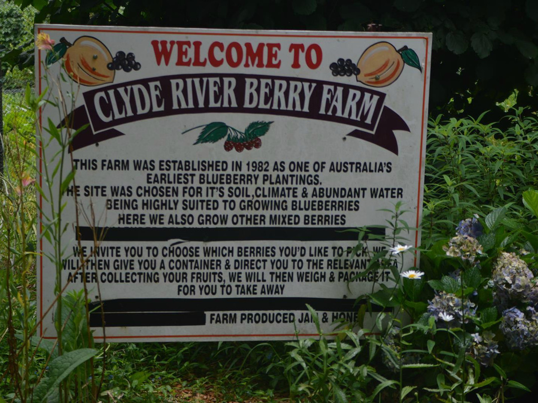 Clyde River Berry Farm景点图片
