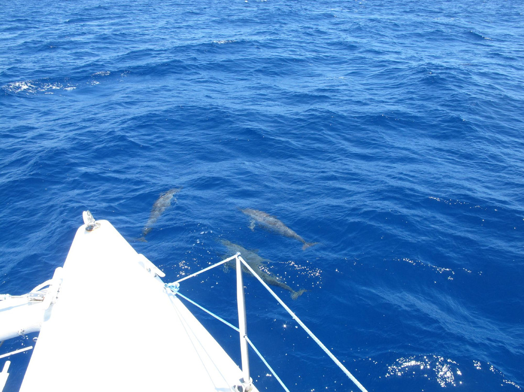 Sailing Fiji-马太必去景点
