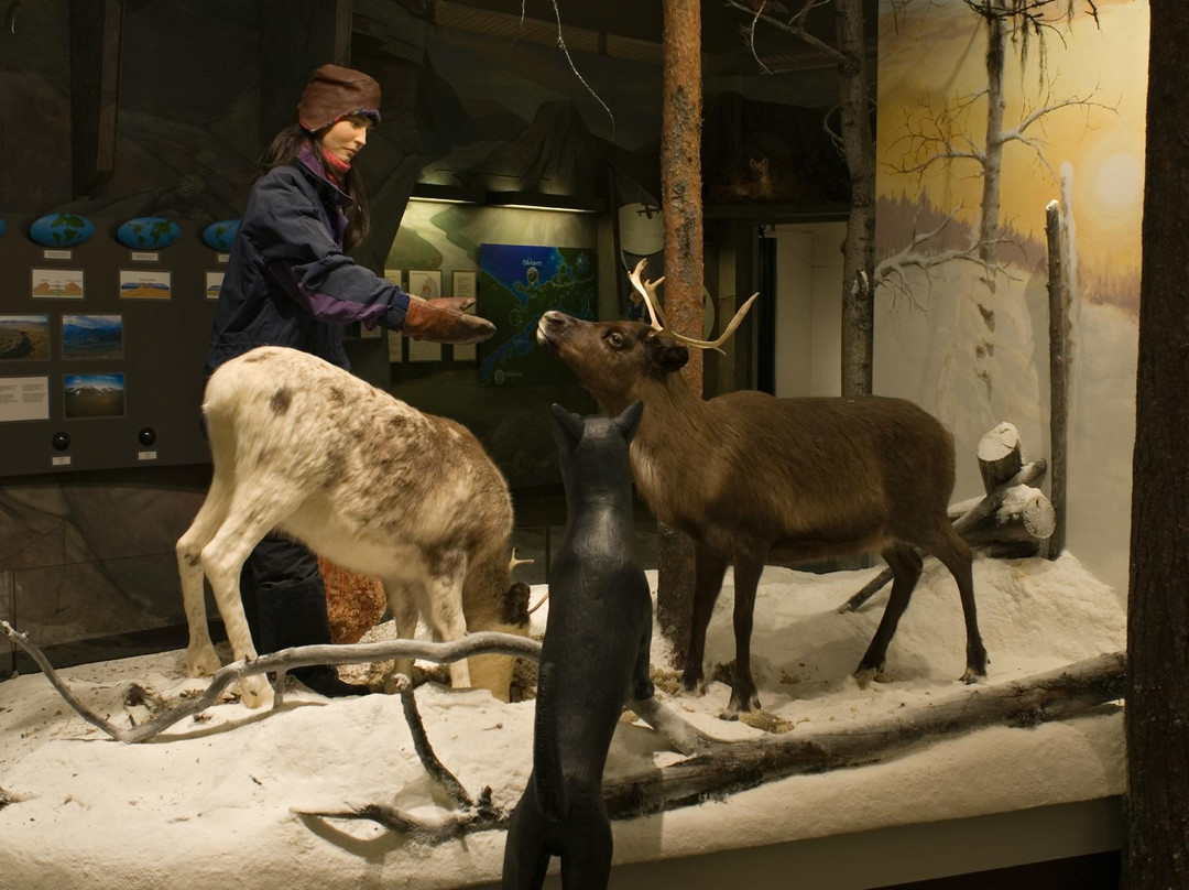 Ajtte Museum-Jokkmokk必去景点