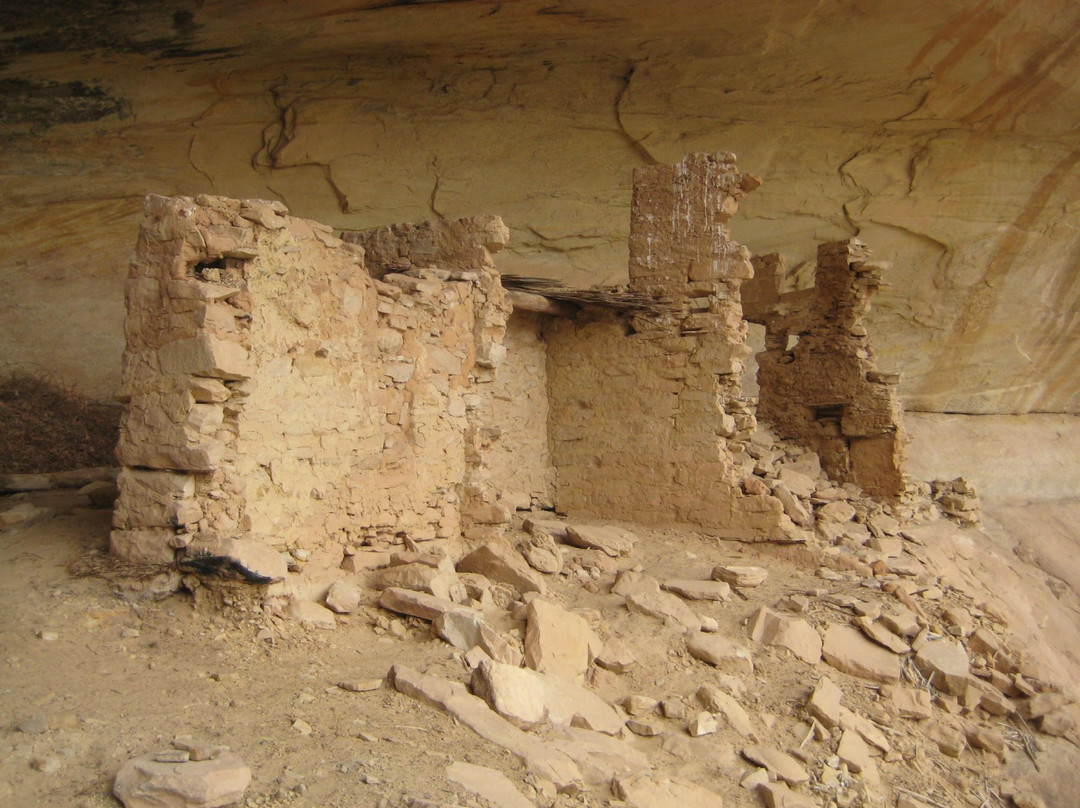 Far Out Expeditions-布拉夫必去景点