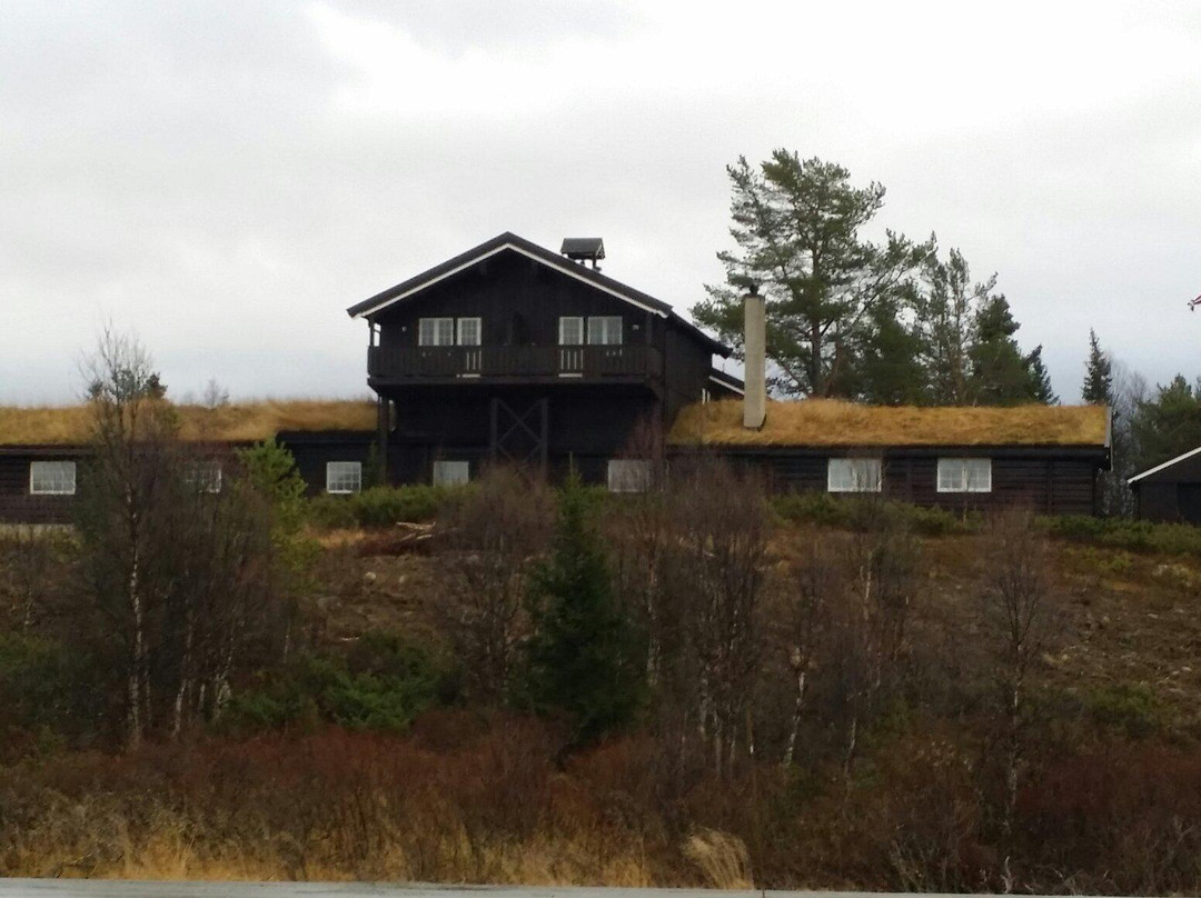 Round Trip of Tisleifjorden Golsfjellet-古尔必去景点