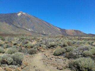 Teide National Park-Vilaflor必去景点