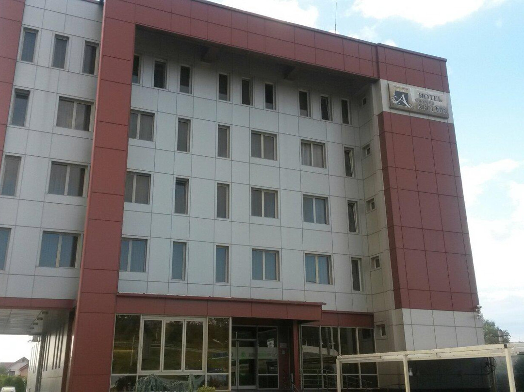 Hotel Grandis Apulum主图