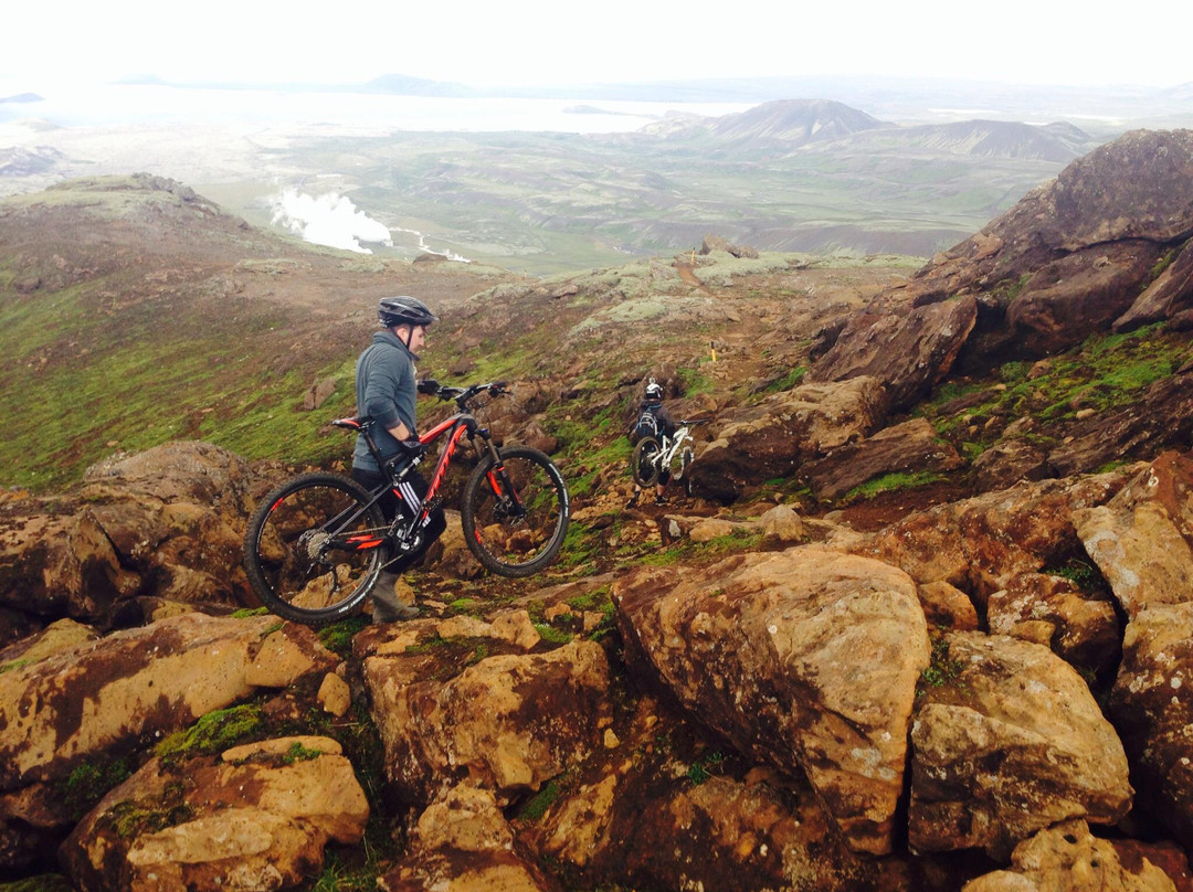 Icebike Adventures景点图片