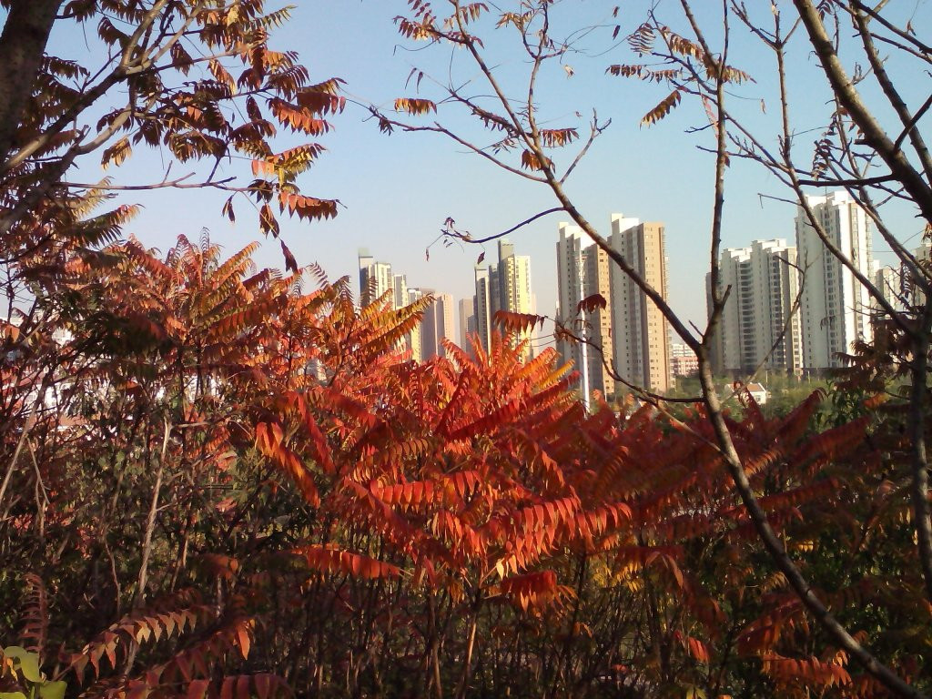 天津南翠屏公园-天津市必去景点