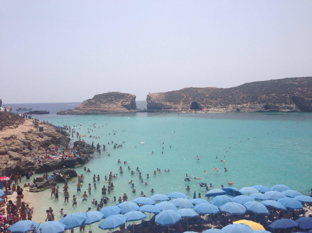 Seahorse Cruises-Bugibba必去景点