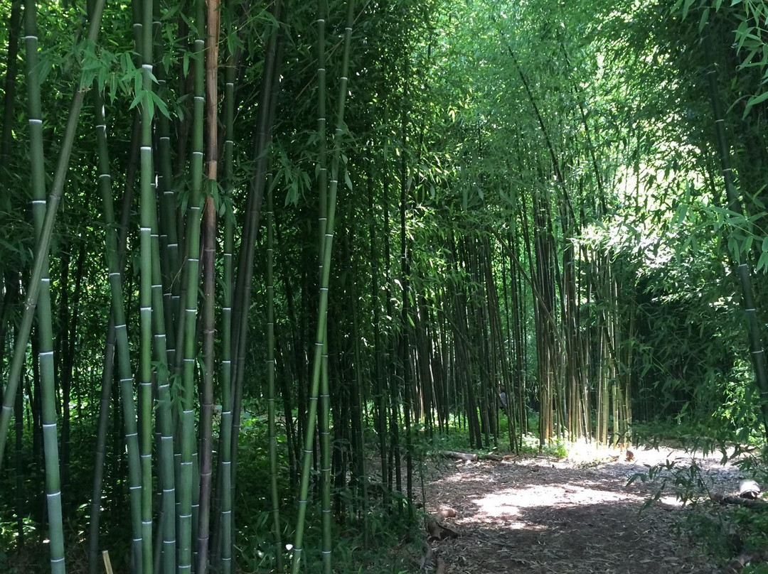 Rutgers Gardens-新布朗斯维克必去景点