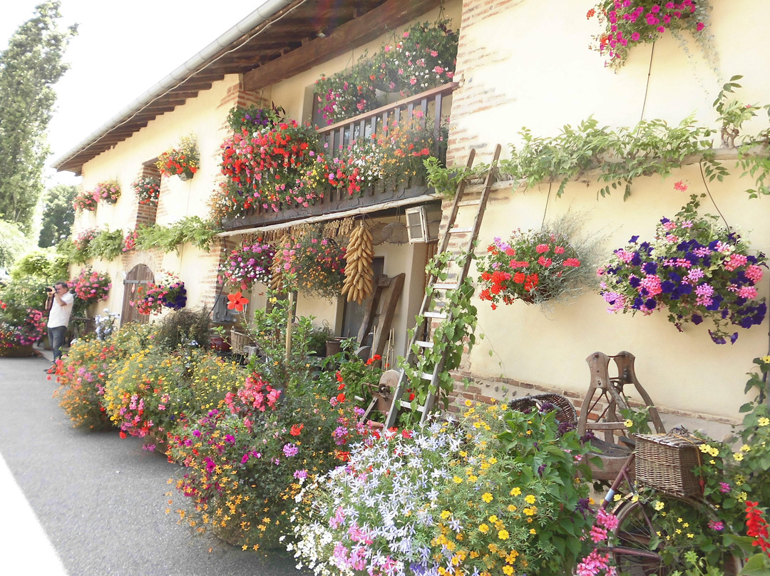 Ferme des Pampilles-Saint-André-le-Bouchoux必去景点