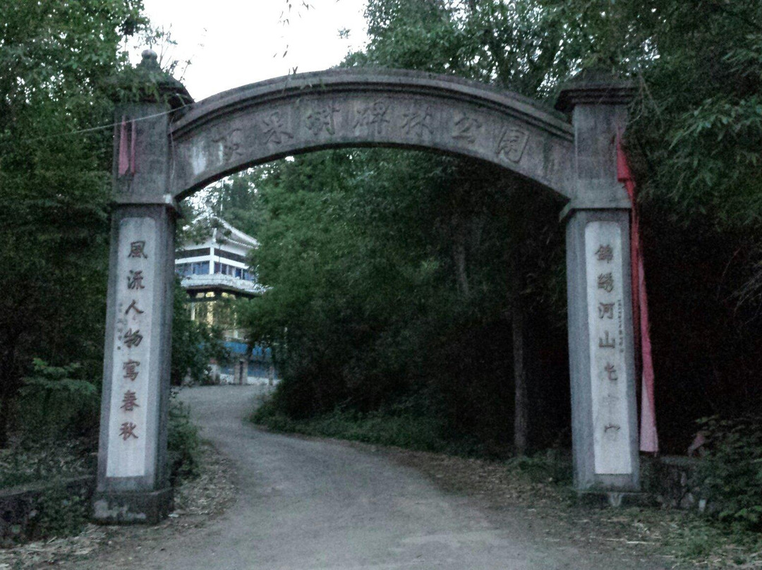 安顺市黄果树碑林公园-镇宁布依族苗族自治县必去景点