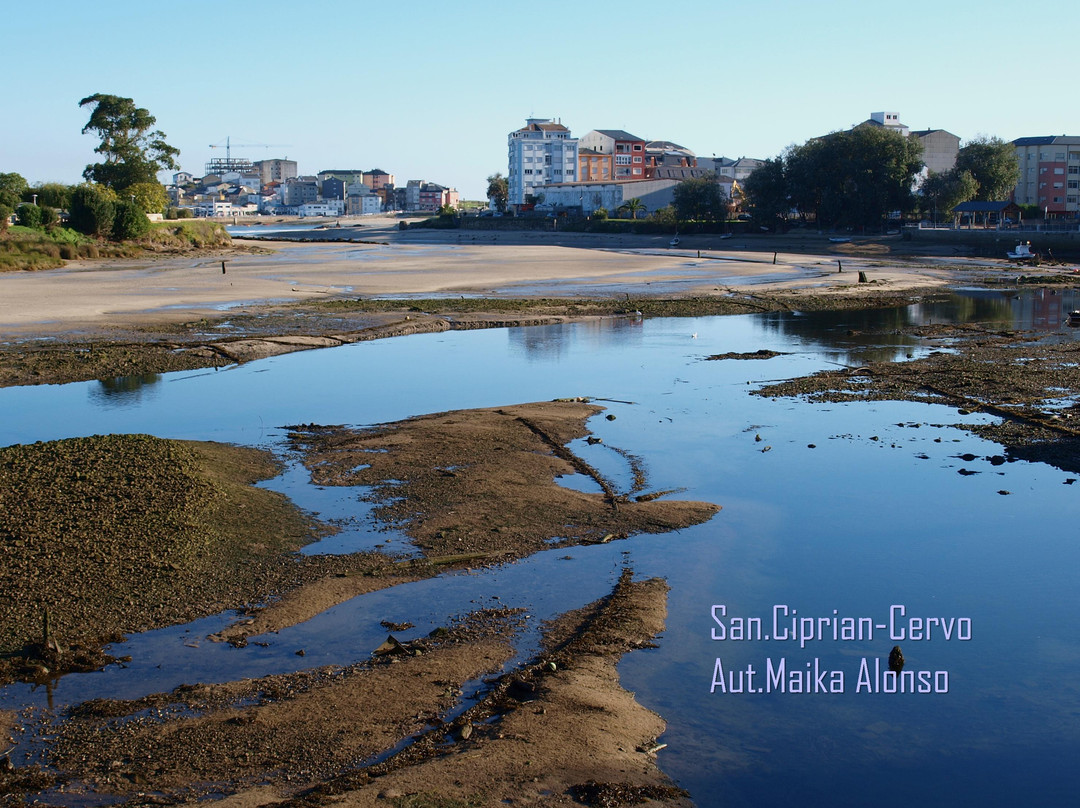 Cervo旅游攻略图片
