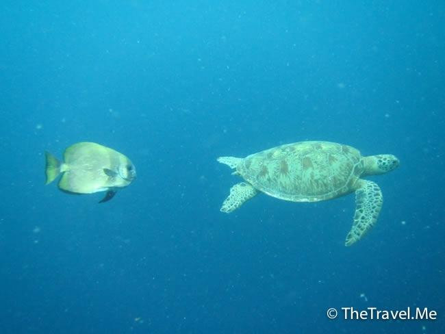 仙本那国家公园-仙本那必去景点