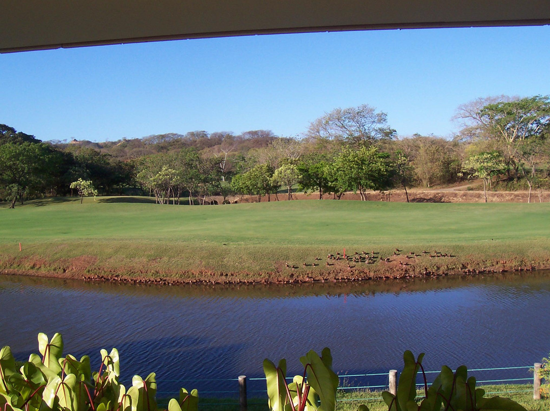 Garra de Leon Golf Course景点图片