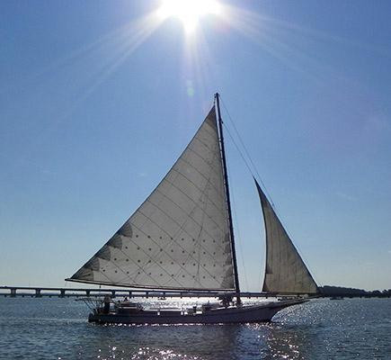 Calvert Marine Museum and Drum Point Lighthouse景点图片