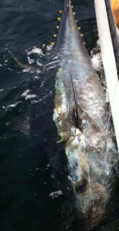 Two Guys Tuna Charters-North Lake必去景点