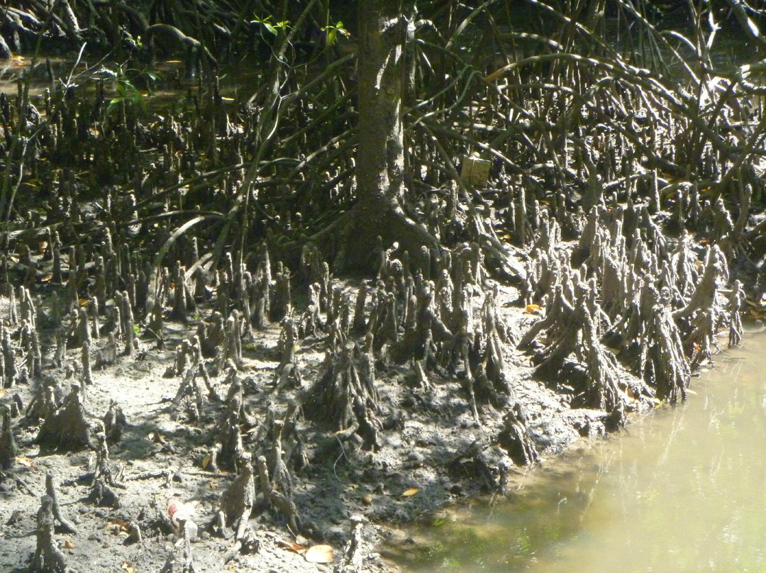 兰卡威国家地质公园-瓜镇必去景点