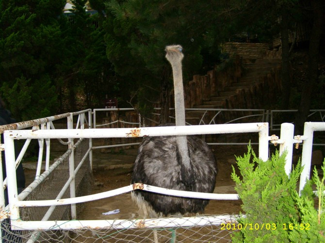 大连老虎滩广场-大连市必去景点