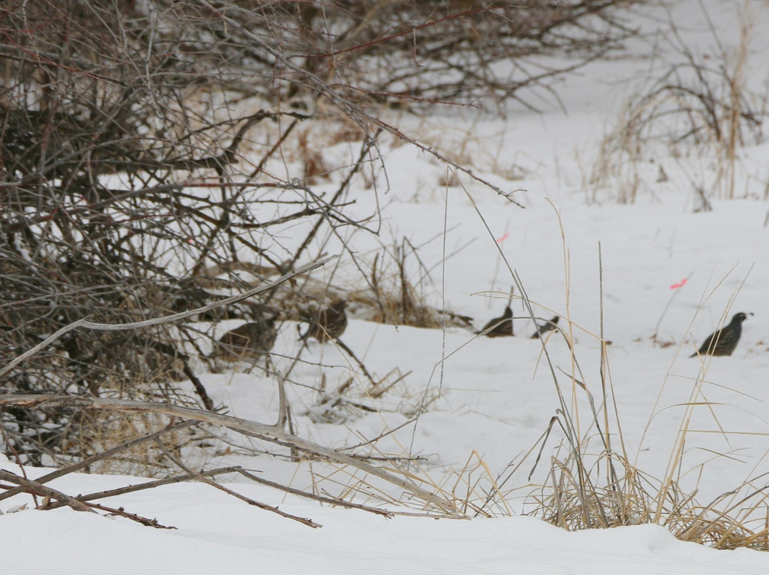 Ogden Nature Center-奥格登必去景点