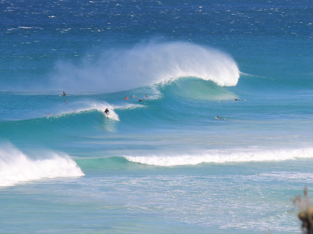 Margaret River Photography Bus景点图片