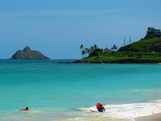 Hawaii Turtle Tours-火奴鲁鲁必去景点