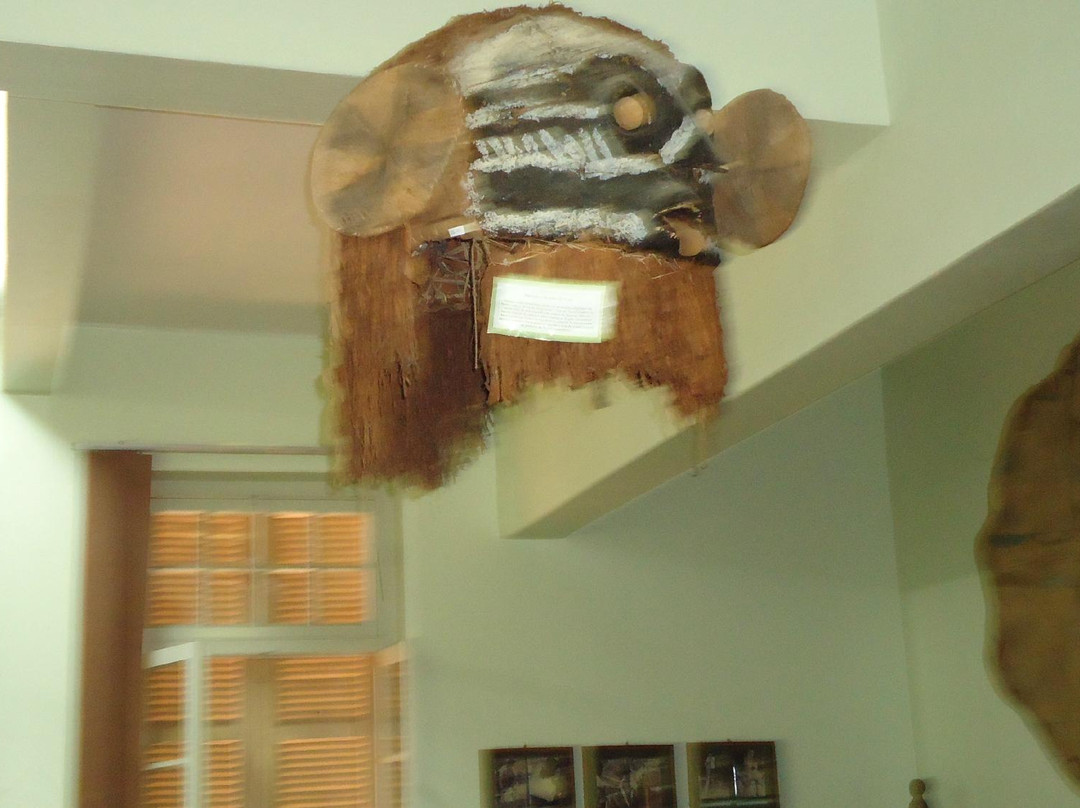 Museu Dos Indios Tukuna景点图片