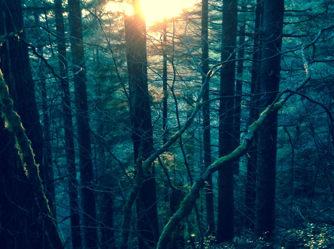 Rattlesnake Mountain Trail景点图片