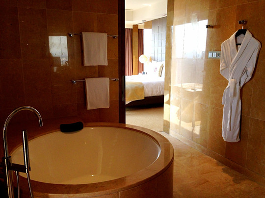 上海世博洲际酒店主图