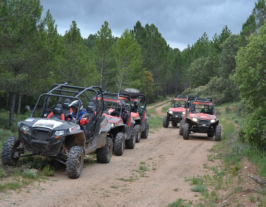 Buggyexperience-Olost必去景点