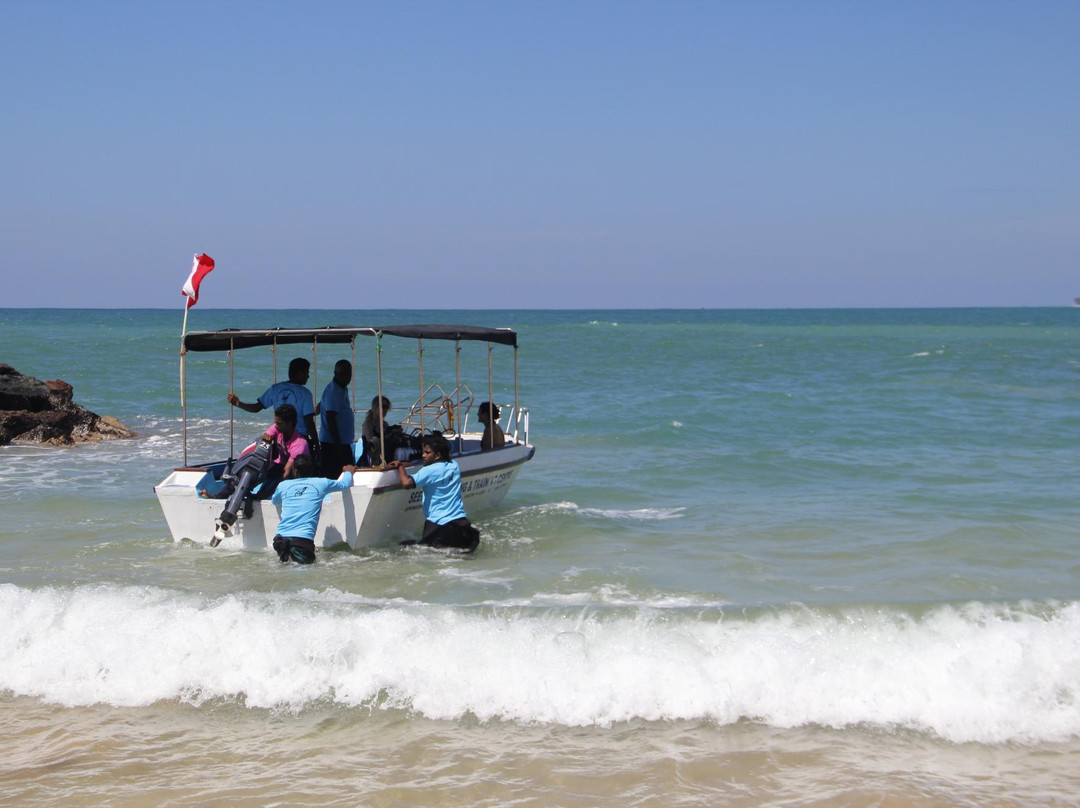 Dive Seenigama Dive Lanka-希克杜沃必去景点