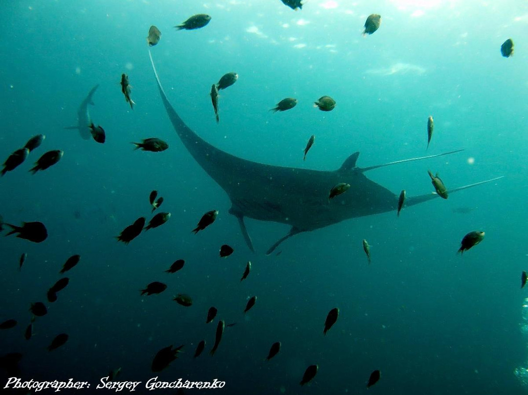 OK Club Diving Center-兰塔岛必去景点