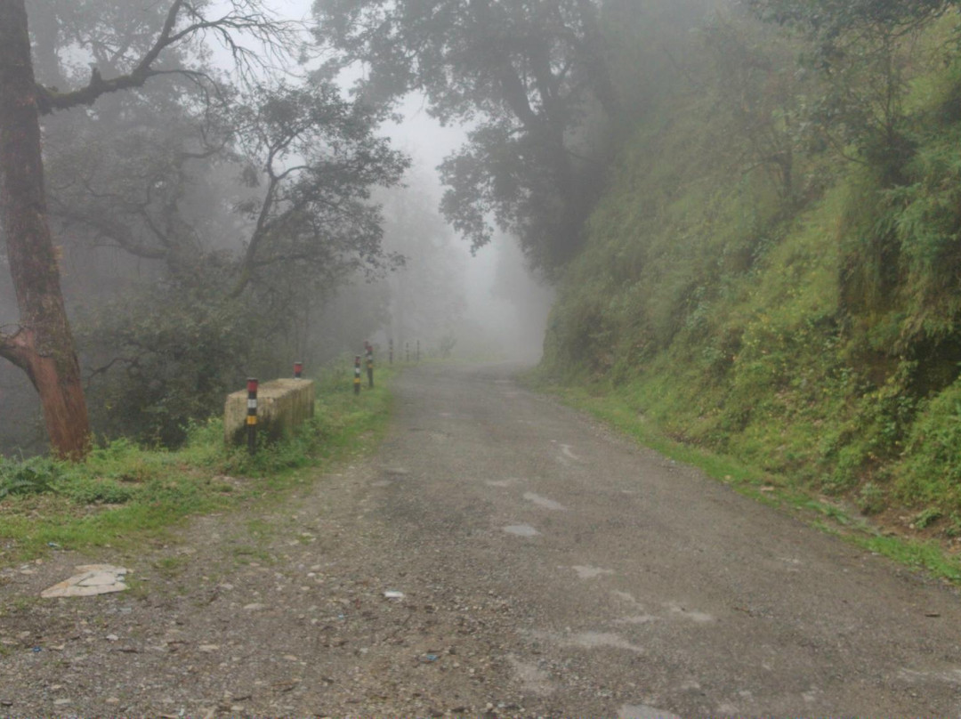 Pangot and Kilbury Bird Sanctuary景点图片