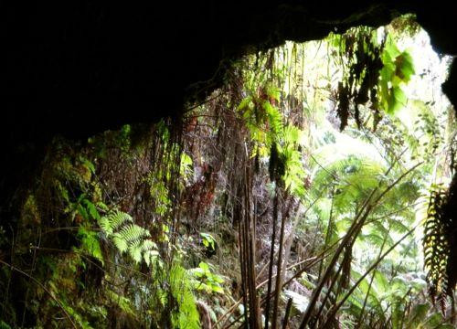 Roberts Hawaii-火奴鲁鲁必去景点