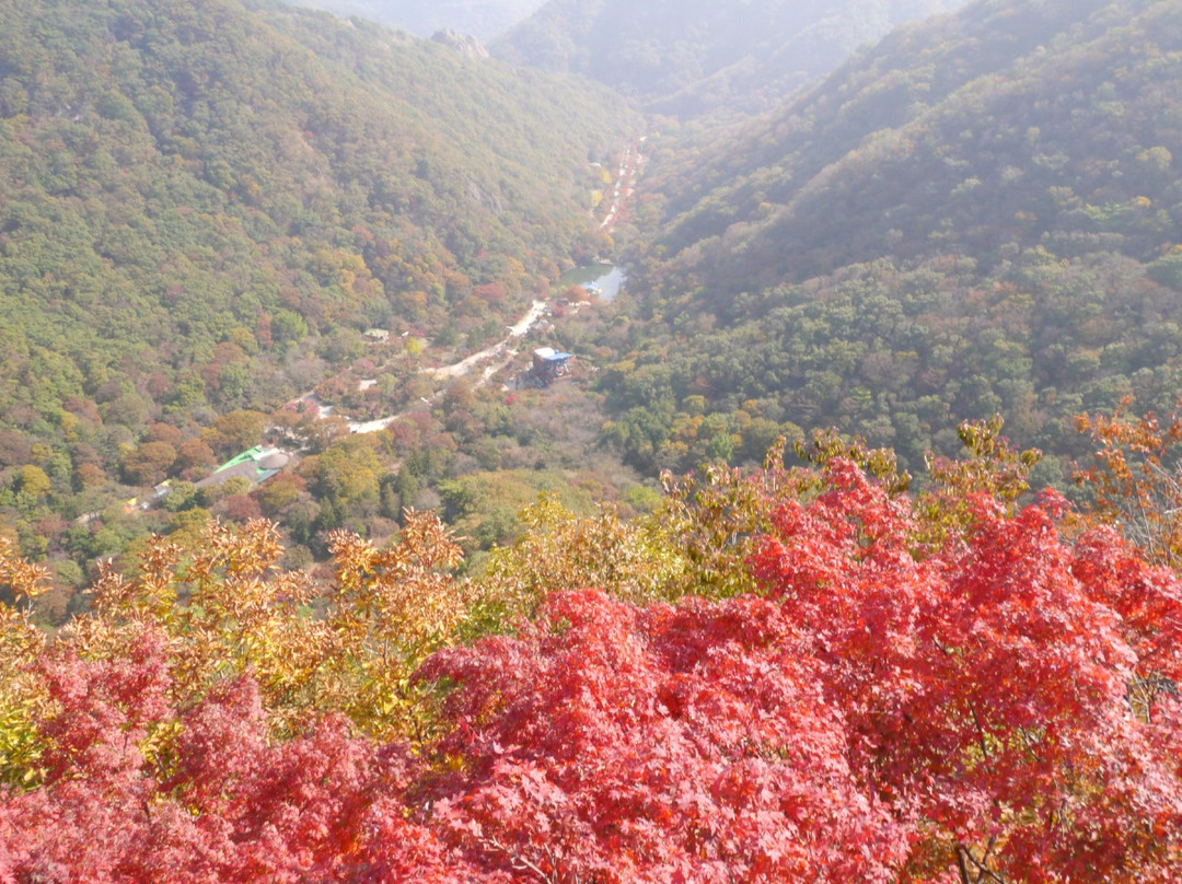 Naejangsan National Park-淳昌郡必去景点